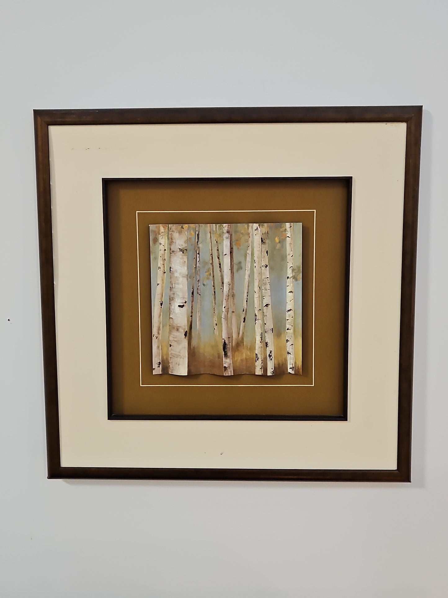 Framed Birch Forest Art