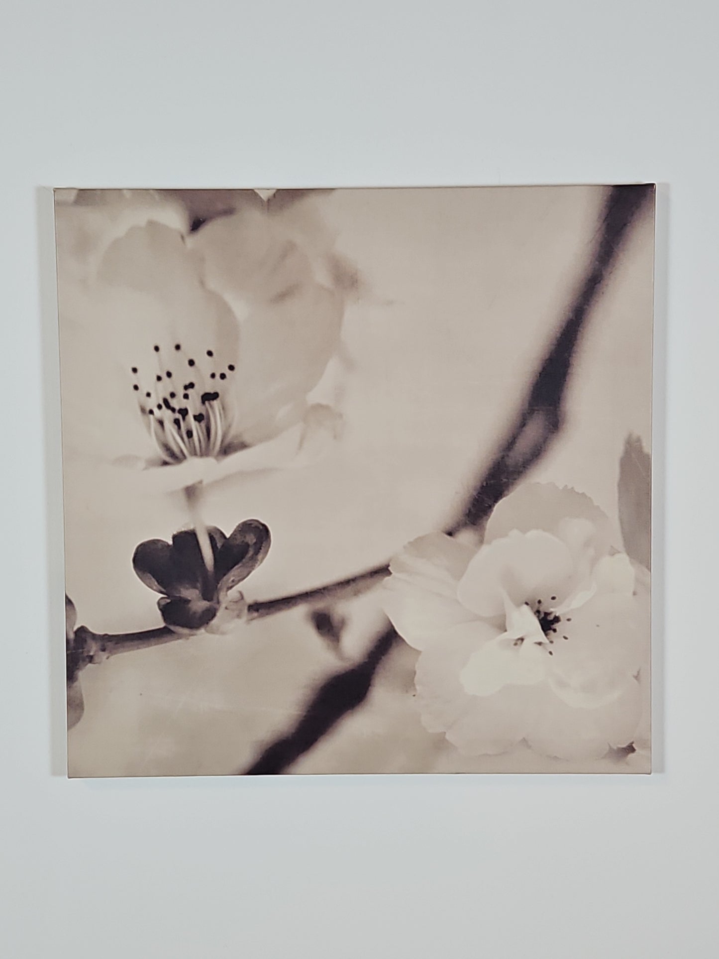 Canvas- Cherry Blossom Prints Set of 3