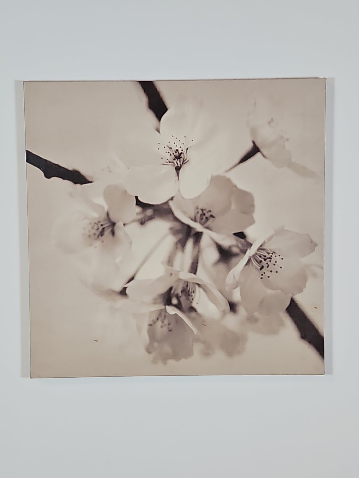 Canvas- Cherry Blossom Prints Set of 3