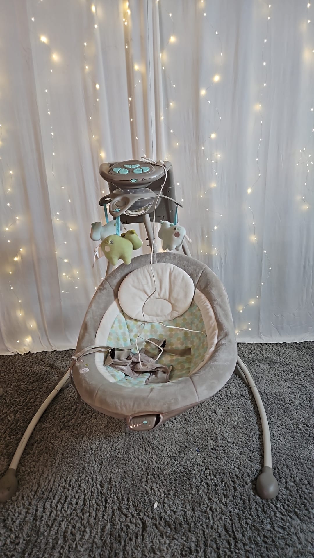 Baby Swing